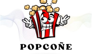 POPCONE: Premium Seasoning Powders for Irresistible Flavors